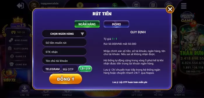 Hệ thống thanh toán của Ho1 Vin