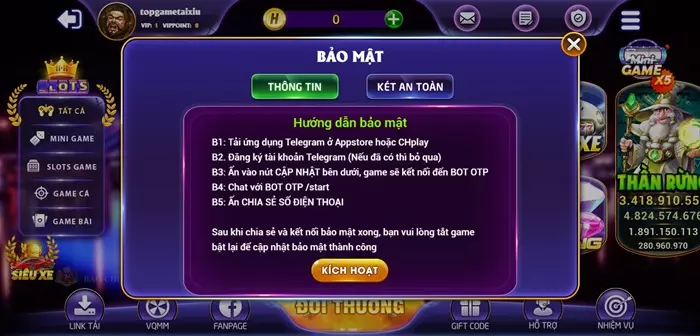 Dịch vụ bảo mật của Ho1 Vin